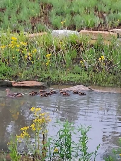 Lick Run Greenway - Cincinnati, OH