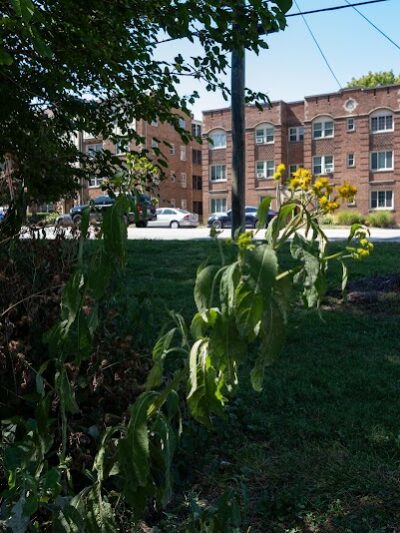 Madison Park - Cincinnati, OH