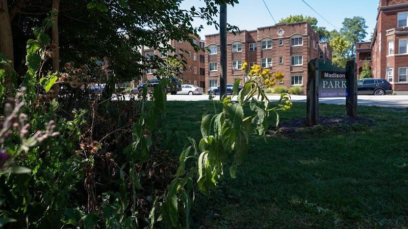 Madison Park - Cincinnati, OH