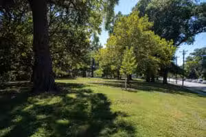 Madison Park - Cincinnati, OH