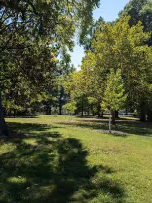 Madison Park - Cincinnati, OH