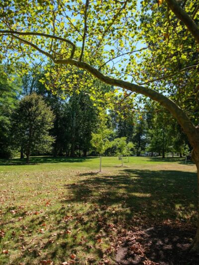 Madison Park - Cincinnati, OH