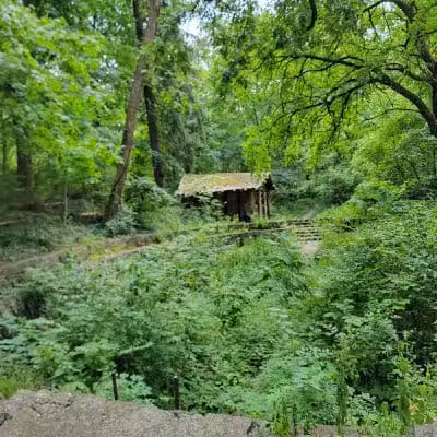 Mc Cullough Nature Preserve - Cincinnati, OH