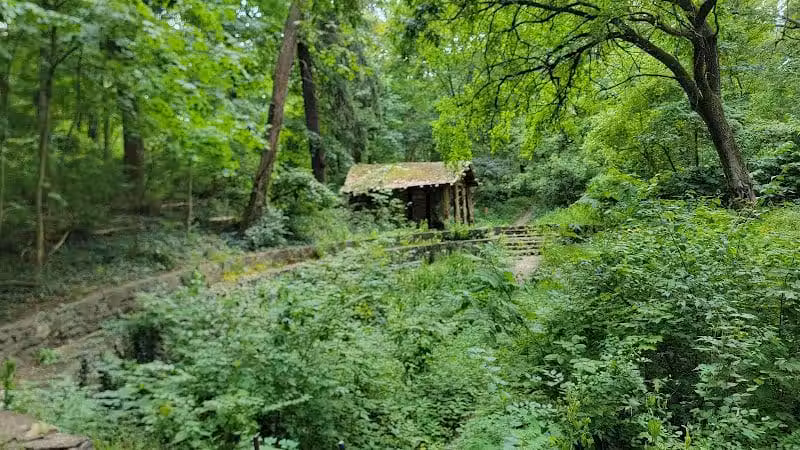 Mc Cullough Nature Preserve - Cincinnati, OH