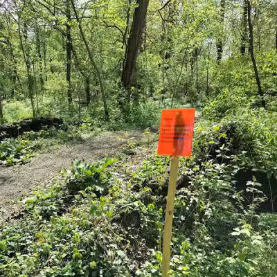 Mc Cullough Nature Preserve - Cincinnati, OH
