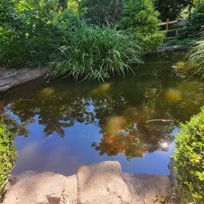 Mc Cullough Nature Preserve - Cincinnati, OH