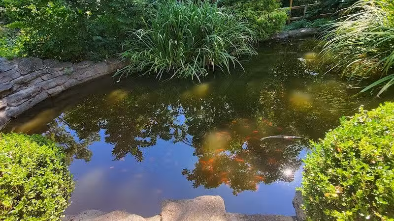 Mc Cullough Nature Preserve - Cincinnati, OH