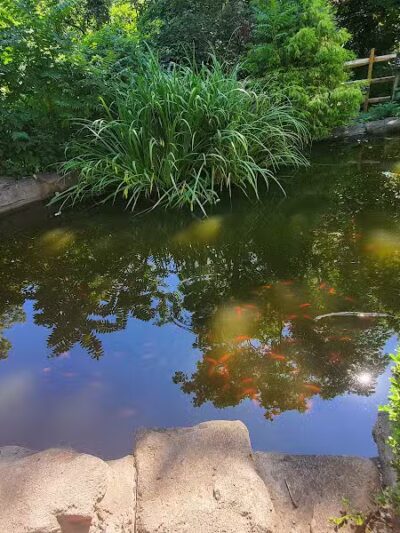 Mc Cullough Nature Preserve - Cincinnati, OH