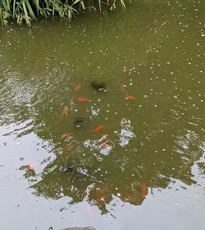 Mc Cullough Nature Preserve - Cincinnati, OH