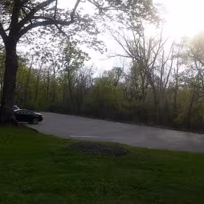 McFarlan Woods, Mt. Airy Forest - Cincinnati, OH