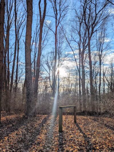 McFarlan Woods, Mt. Airy Forest - Cincinnati, OH