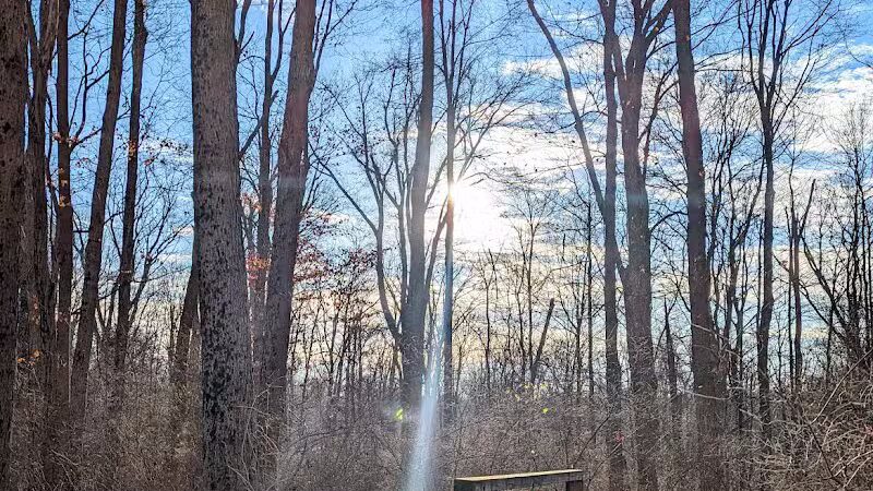 McFarlan Woods, Mt. Airy Forest - Cincinnati, OH