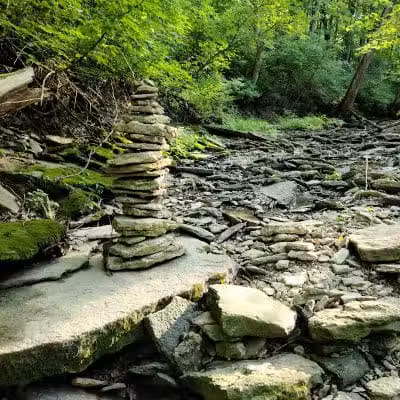 McFarlan Woods, Mt. Airy Forest - Cincinnati, OH