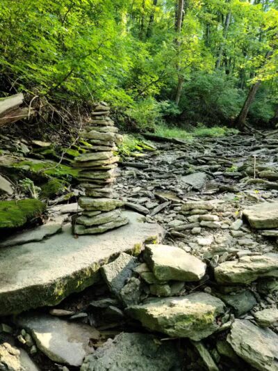 McFarlan Woods, Mt. Airy Forest - Cincinnati, OH