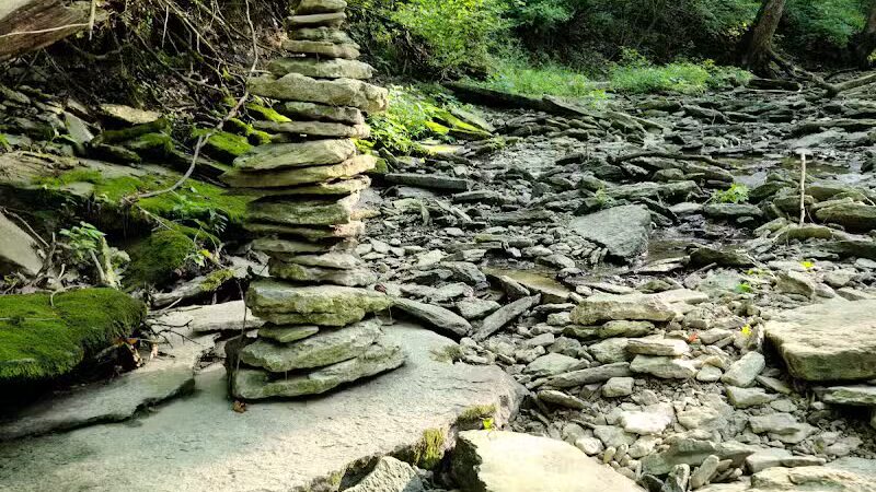 McFarlan Woods, Mt. Airy Forest - Cincinnati, OH