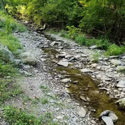 McFarlan Woods, Mt. Airy Forest - Cincinnati, OH