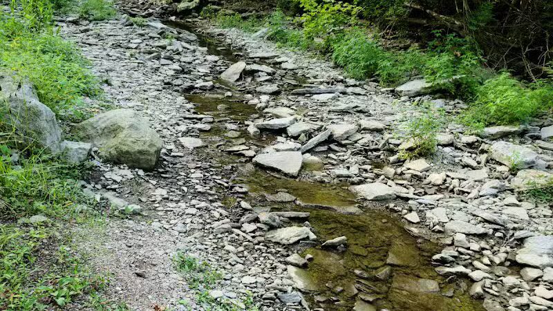 McFarlan Woods, Mt. Airy Forest - Cincinnati, OH