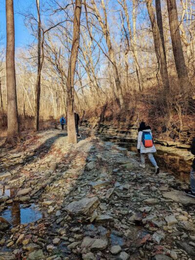 McFarlan Woods, Mt. Airy Forest - Cincinnati, OH
