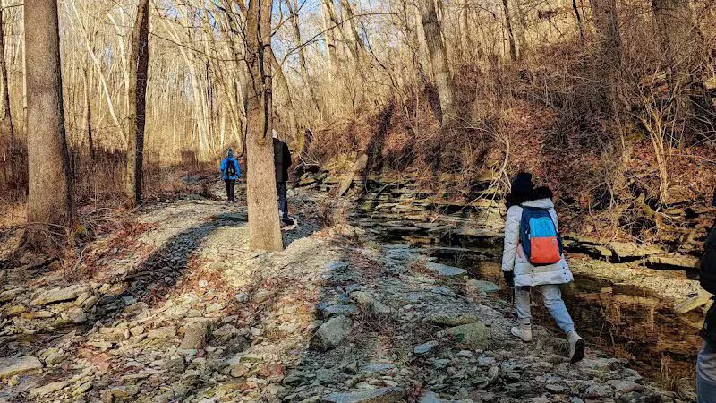 McFarlan Woods, Mt. Airy Forest - Cincinnati, OH