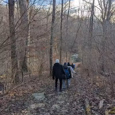 McFarlan Woods, Mt. Airy Forest - Cincinnati, OH