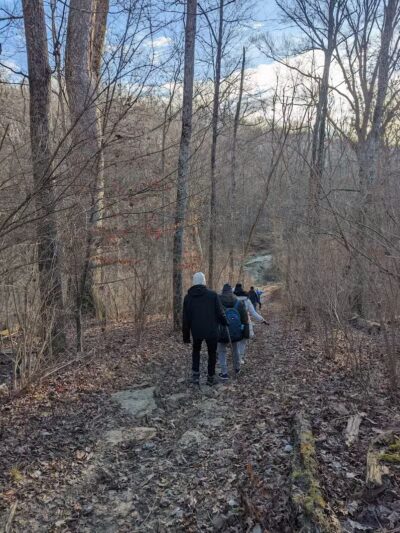 McFarlan Woods, Mt. Airy Forest - Cincinnati, OH