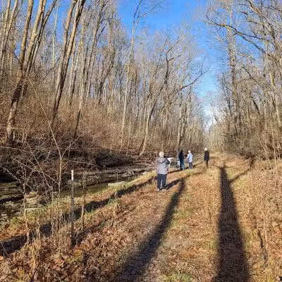 McFarlan Woods, Mt. Airy Forest - Cincinnati, OH
