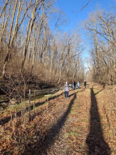 McFarlan Woods, Mt. Airy Forest - Cincinnati, OH