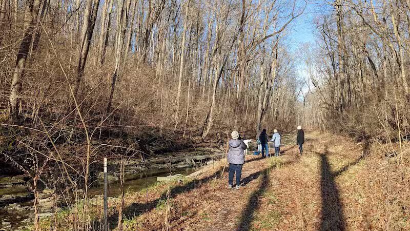 McFarlan Woods, Mt. Airy Forest - Cincinnati, OH