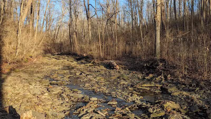 McFarlan Woods, Mt. Airy Forest - Cincinnati, OH
