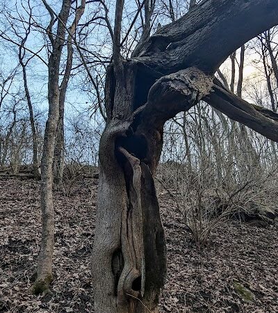 Miles-Edwards Park - Cincinnati, OH