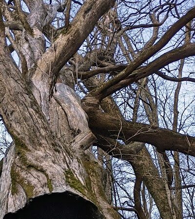 Miles-Edwards Park - Cincinnati, OH