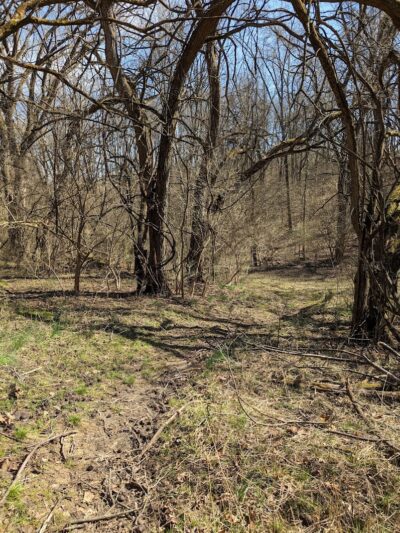 Miles-Edwards Park - Cincinnati, OH