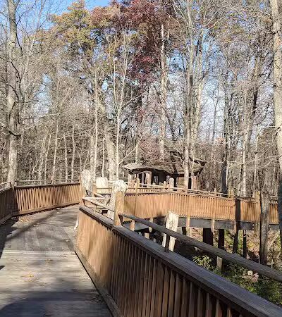 Mt. Airy Forest - Cincinnati, OH