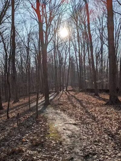 Mt. Airy Forest - Cincinnati, OH