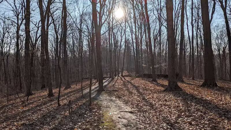 Mt. Airy Forest - Cincinnati, OH