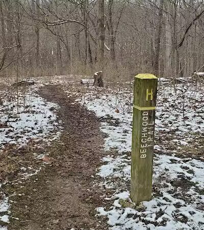 Mt. Airy Forest - Cincinnati, OH