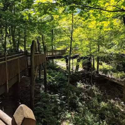 Mt. Airy Forest - Cincinnati, OH
