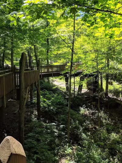 Mt. Airy Forest - Cincinnati, OH