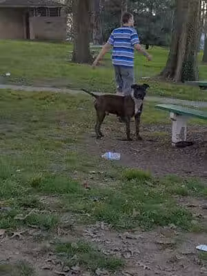 Mt. Echo Park - Cincinnati, OH