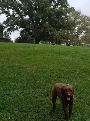 Mt. Storm Park - Cincinnati, OH