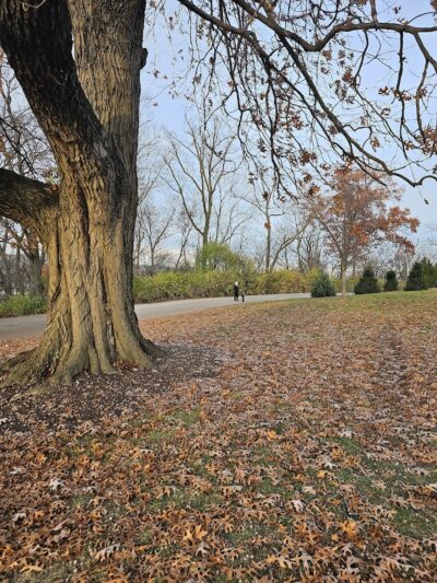 Mt. Storm Park - Cincinnati, OH