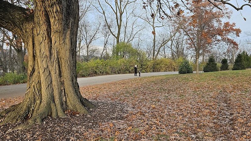 Mt. Storm Park - Cincinnati, OH