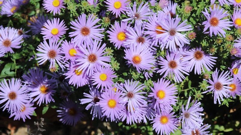 Mt. Storm Park - Cincinnati, OH