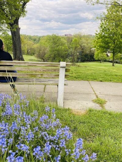 Mt. Storm Park - Cincinnati, OH