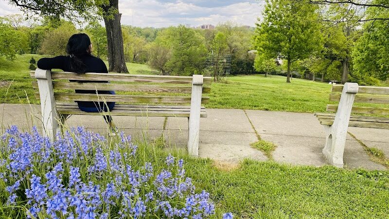 Mt. Storm Park - Cincinnati, OH