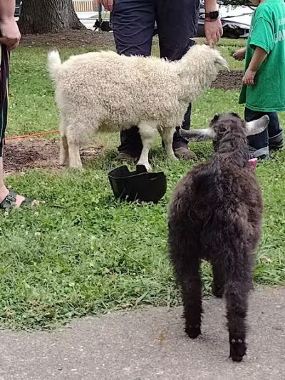 Nelson Sayler Memorial Park - Cincinnati, OH