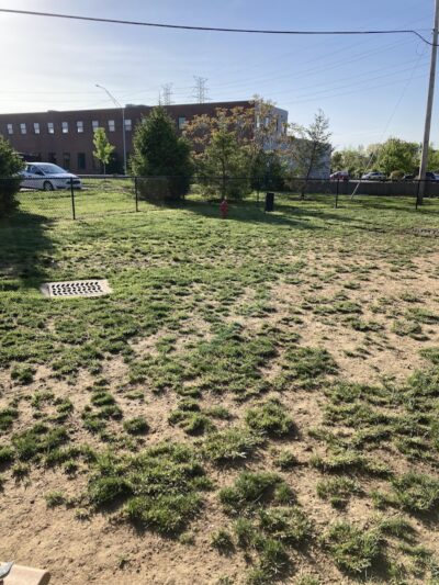 Oakley Station Dog Park - Cincinnati, OH