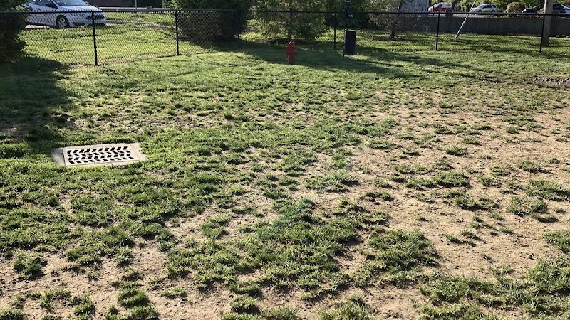 Oakley Station Dog Park - Cincinnati, OH