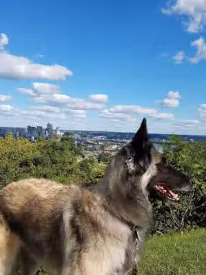 Olden View Park - Cincinnati, OH