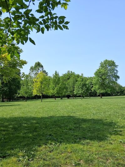 Otto Armleder Dog Park - Cincinnati, OH